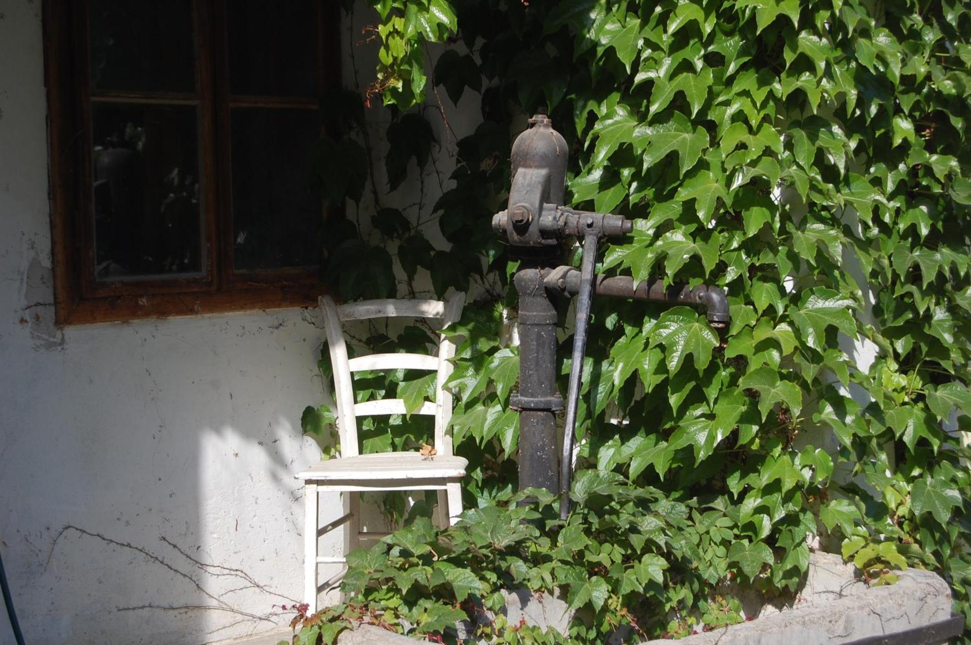 Bed and Breakfast Hofgassl Zentgraf Mörbisch am See Exterior foto